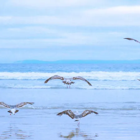 Luttikduin Nr 18 - Aan Zee Horská chata Callantsoog