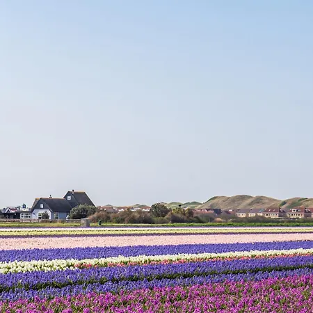 Luttikduin Nr 18 - Aan Zee Callantsoog