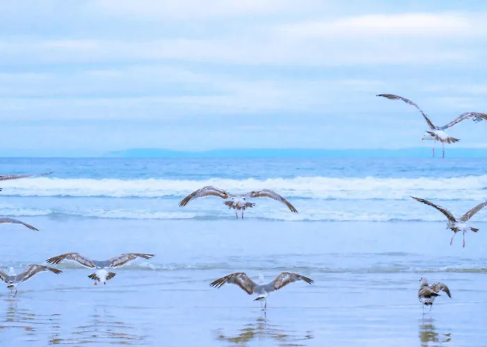 Luttikduin Nr 18 - Aan Zee 샬레 칼란트소그